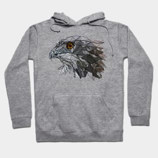 Black chested snake Eagle Hoodie